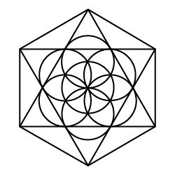 Sustainability-black